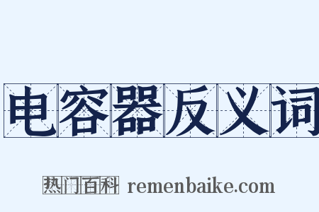 电容器反义词是什么意思的图片
